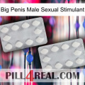 Big Penis Male Sexual Stimulant 17